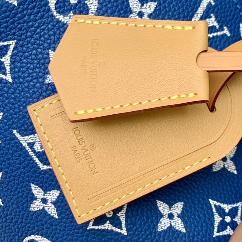 LV Speedy Bags